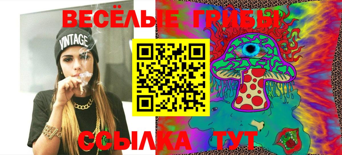 Псилоцибиновые грибы мицелий Алапаевск