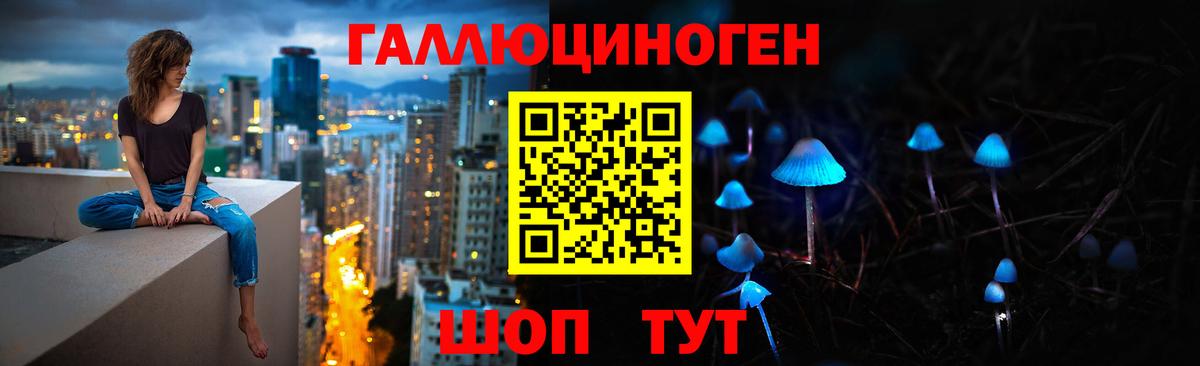 Алапаевск  Псилоцибиновые грибы GOLDEN TEACHER  где найти наркотики  Вход с VPN  Псилоцибиновые грибы Psilocybine cubensis 